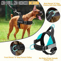 No Pull Dog Harness