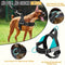 No Pull Dog Harness