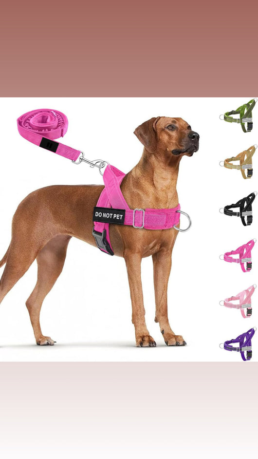 No Pull Dog Harness