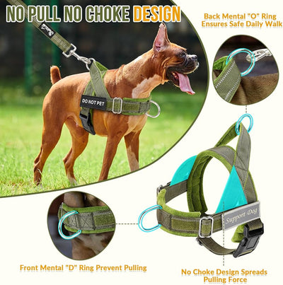 No Pull Dog Harness