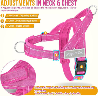 No Pull Dog Harness