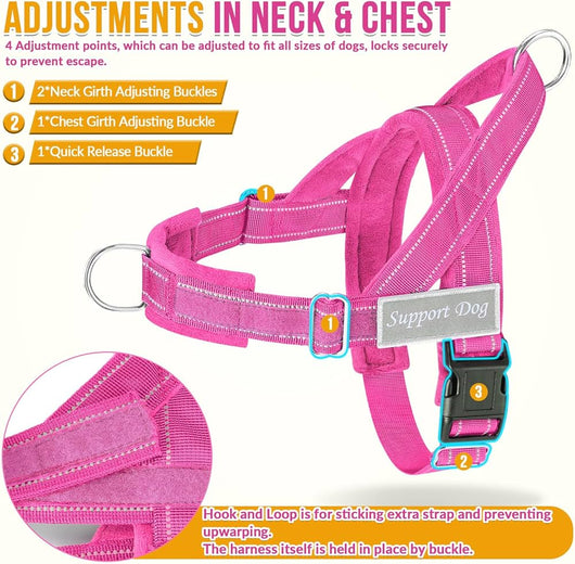 No Pull Dog Harness