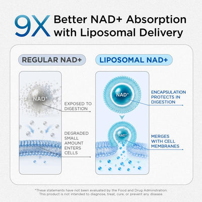 Liposomal NAD+ — Men's Cellular Energy Complex