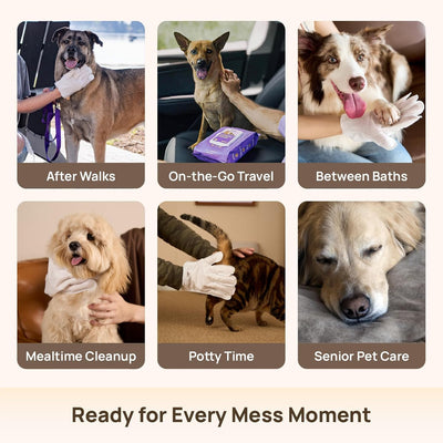 Deodorizing Pet Glove Wipes — Waterless Cleaning for Dogs & Cats