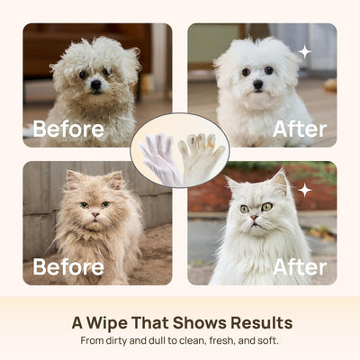 Deodorizing Pet Glove Wipes — Waterless Cleaning for Dogs & Cats