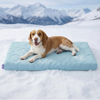 Cooling Dog Mat – 0.5 QMAX Ice Silk
