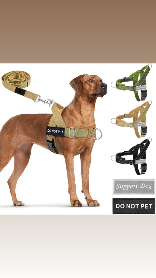 No Pull Dog Harness