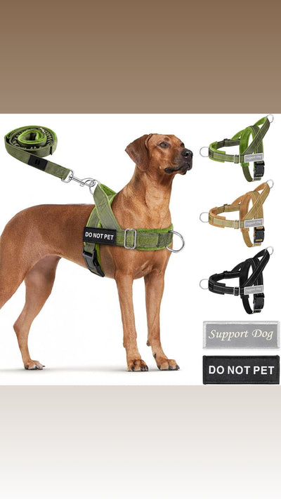 No Pull Dog Harness
