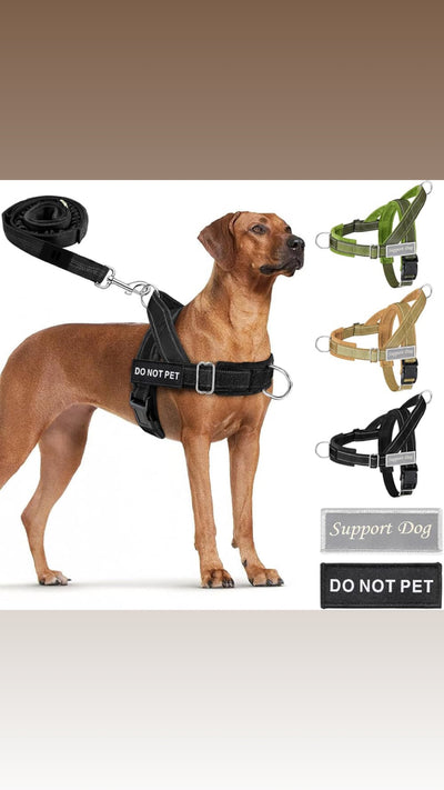 No Pull Dog Harness