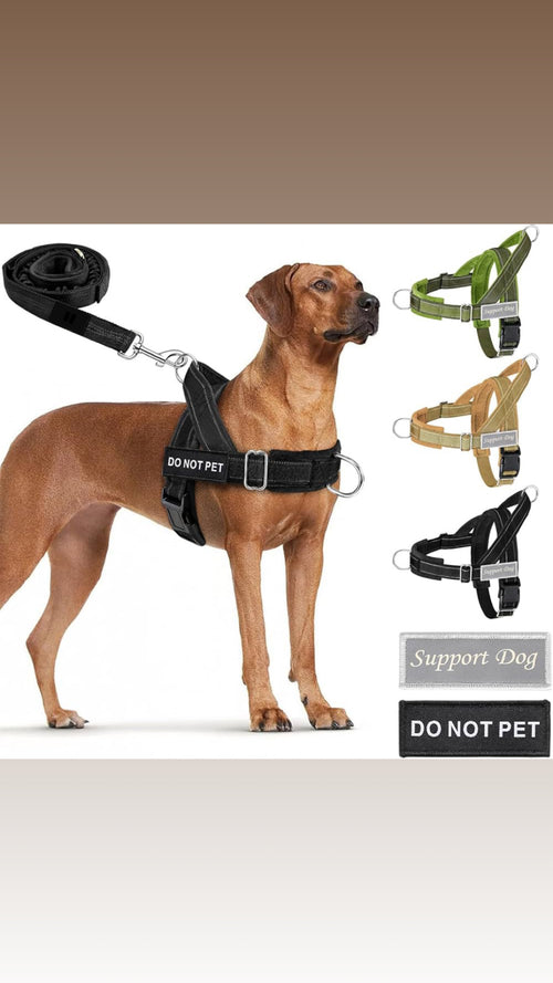 No Pull Dog Harness
