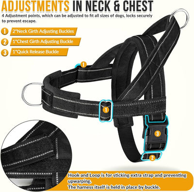 No Pull Dog Harness