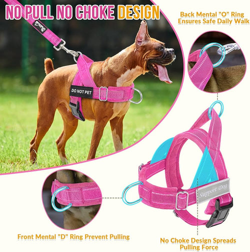 No Pull Dog Harness