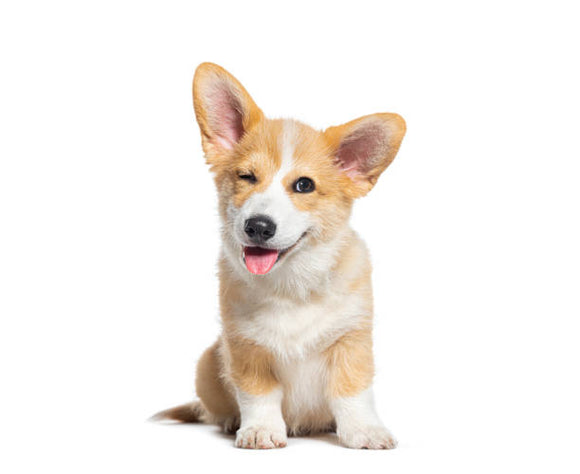 Feature product image